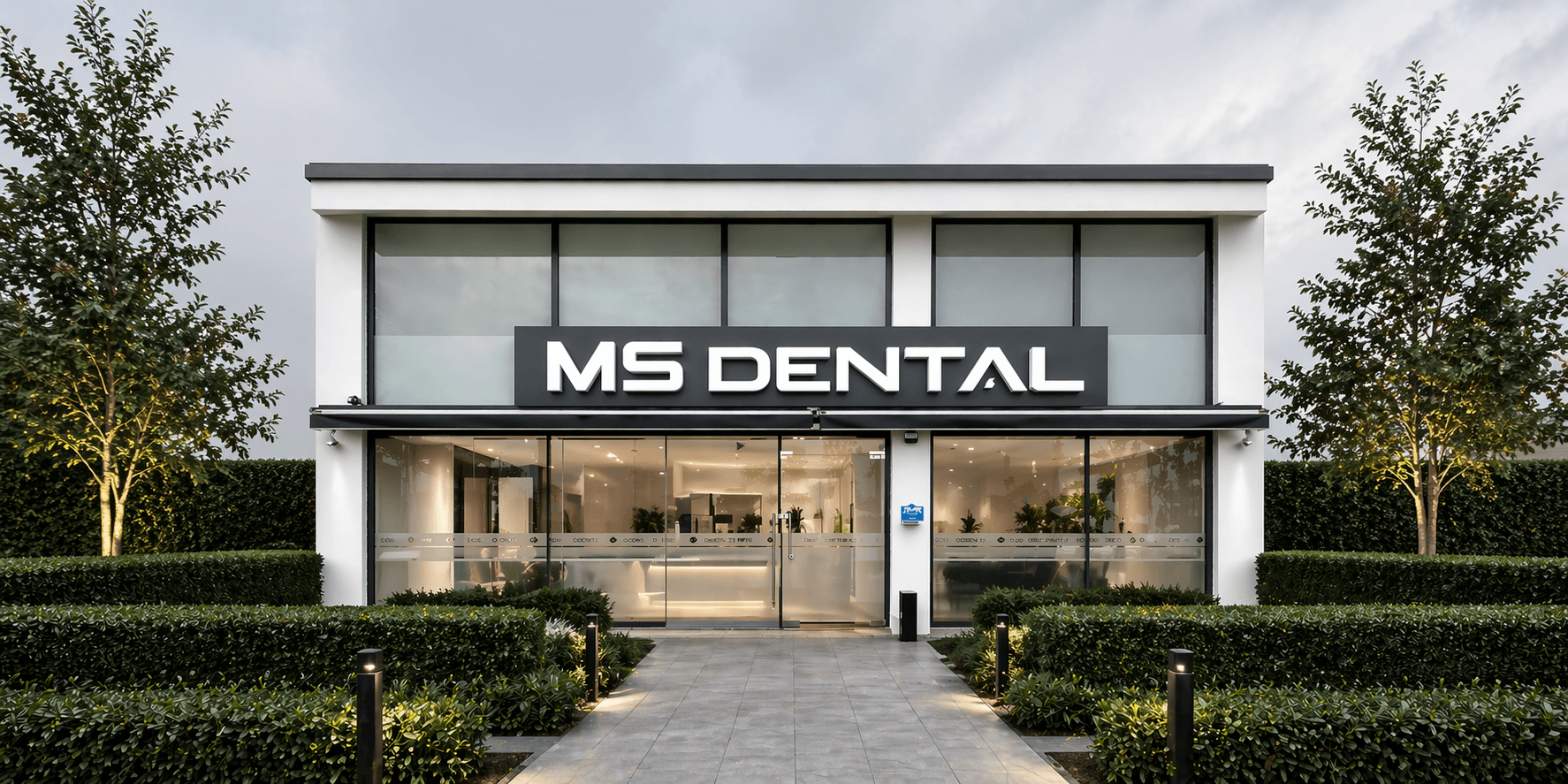 MS Dental corporate visual